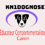 Education dressage de chiens Educateur Comportementaliste canin BANDOL