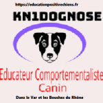 Pension Canine Kn1dognose Saint Cyr sur mer