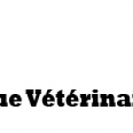 Vétérinaire La clinique vétérinaire à Raismes Raismes