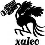 Réalisation vidéo live Xaleo studio Bréval