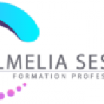 Formation continue Almelia Session Bussy saint georges