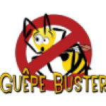 Extermination des nuisibles Guêpe Buster Castelginest